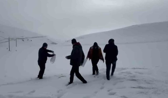 Darende'de öğretmen ve öğrencilerden yaban hayvanlarını unutmadı