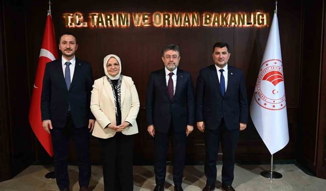 Düzce'nin tarımı, taşkın riski ve DSİ yatırımları görüşüldü