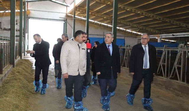 Elazığ'da hayvancılık altyapısı yerinde incelendi