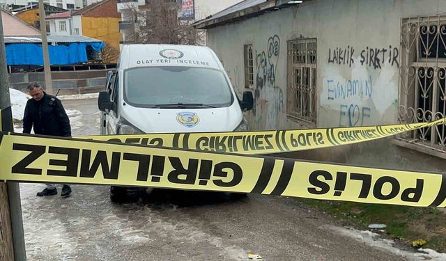 Elazığ'da rastgele ateş ederek 1 kişiyi yaralayan şüpheli yakalandı