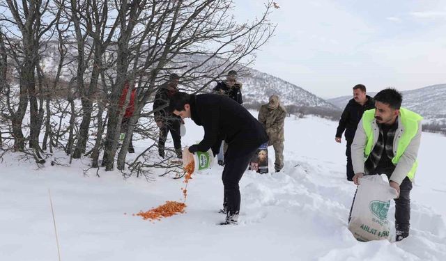 Genç'te yaban hayvanları için doğaya yem bırakıldı