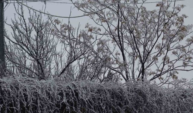 Gercüş beyaz örtüyle kaplandı
