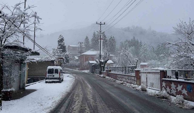 Giresun'da 7 ilçede eğitime kar engeli