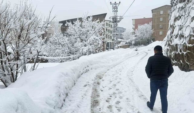 Hakkari'de 310 yerleşim yeri ulaşıma açıldı