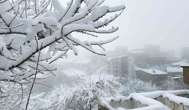 Hakkari'de kar afeti: Ekipler aralıksız çalışıyor
