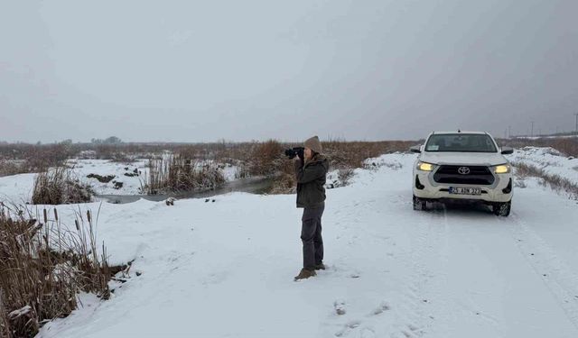 Iğdır'da belgesiz avlanan şahsa idari yaptırım uygulandı