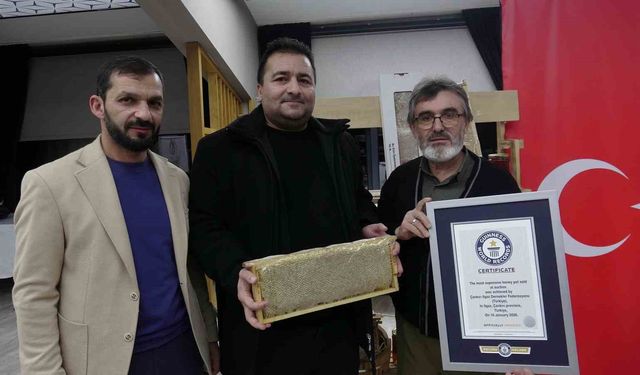 Ilgaz balı dünyanın en pahalı balı olarak Guinness Rekorlar Kitabı'na girdi