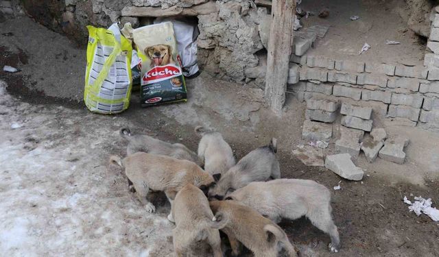 İstanbul'dan Erzurum'a uzanan yardım eli