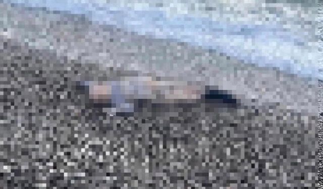 İzmir'de deniz kıyısında çocuk cesedi