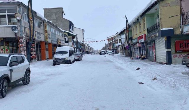 Kar ve buzla kaplı Karlıova sessizliğe büründü