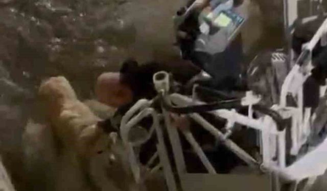 Karabük'te su kanalına düşen köpeği itfaiye kurtardı