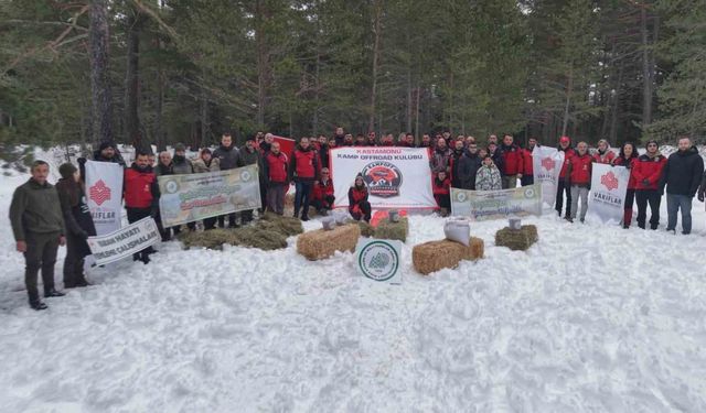 Kastamonu'da karla kaplanan ormanlara yaban hayvanları için yiyecek bırakıldı