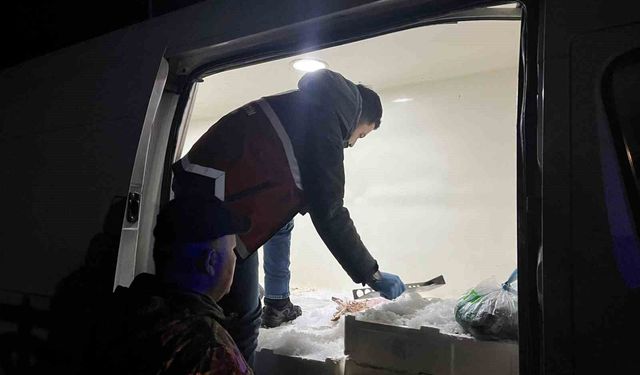 Kastamonu'da usulsüz avlanan 1 ton 335 kilogram balığa el konuldu