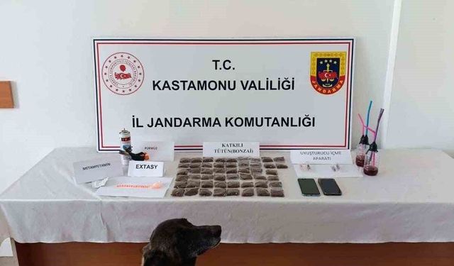 Kastamonu'da uyuşturucu operasyonu: 1 tutuklama