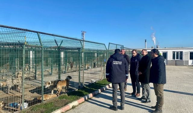 Kaymakam Özderin, Pınarhisar Geçici Hayvan Bakım ve Gözlem Merkezi'nde incelemelerde bulundu