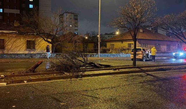 Kaza savrulan otomobil ağacı ikiye böldü: 4 yaralı