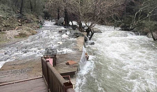 Kazdağların'da ani kar erimesi ve sağanak yağış nedeniyle dereler yataklarına sığmıyor