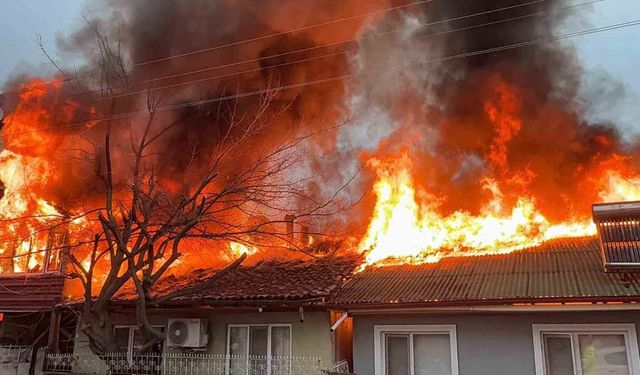 Kediler üşümesin diye yakılan soba faciaya dönüştü: İki ev küle döndü