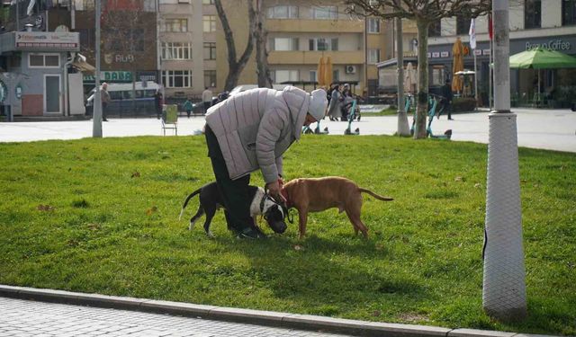 Kış ortasında sonbahar havası