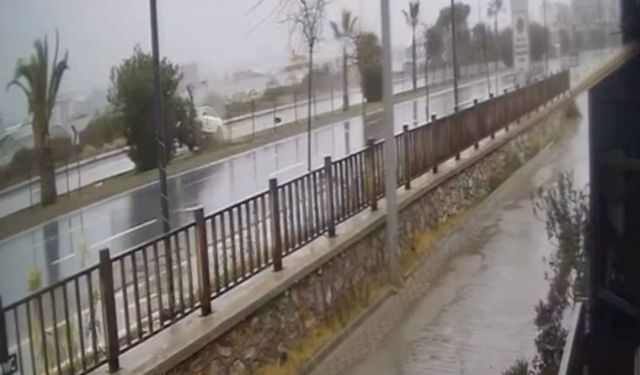 Kontrolden çıkan otomobil refüjdeki ağaca çarpıp takla attı