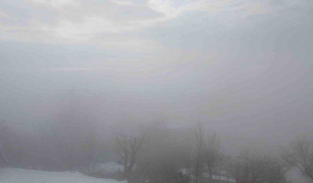 Kulp ilçesinde yoğun sis etkili oldu