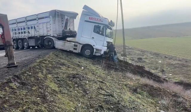 Mardin'de kontrolden çıkan tır yol kenarına savruldu
