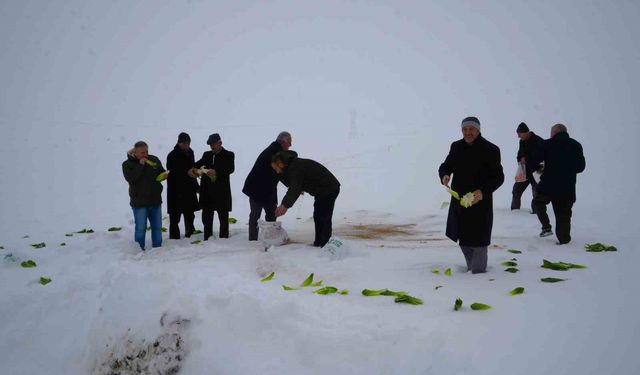 Muş'ta yaban hayvanları için doğaya yem bırakıldı