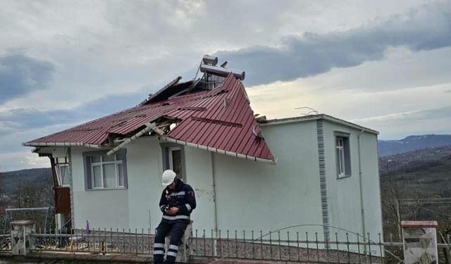 Ordu'da fırtına nedeniyle çatı uçtu, ağaç devrildi
