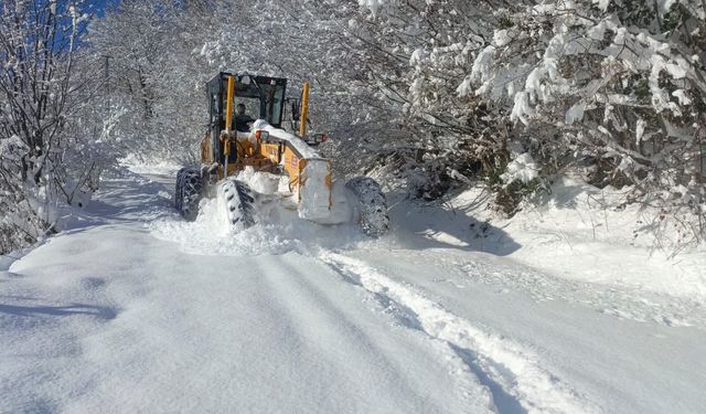 Ordu'da karla mücadele: 3 günde toplam 18 bin km yol ulaşıma açıldı