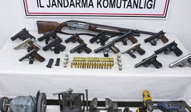 Ordu'da yasadışı silah operasyonu