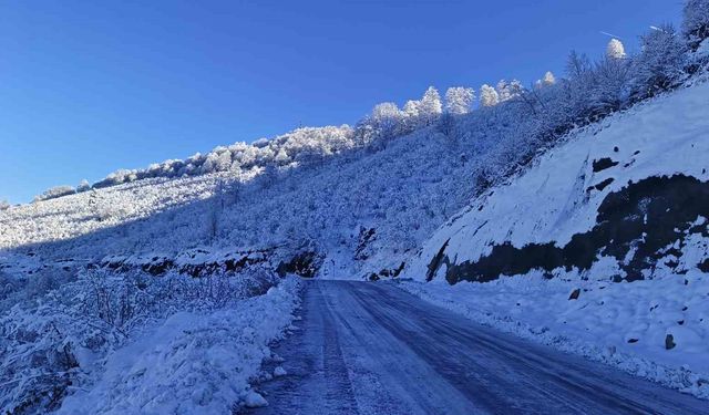 Ordu'nun 16 ilçesinde eğitime kar engeli