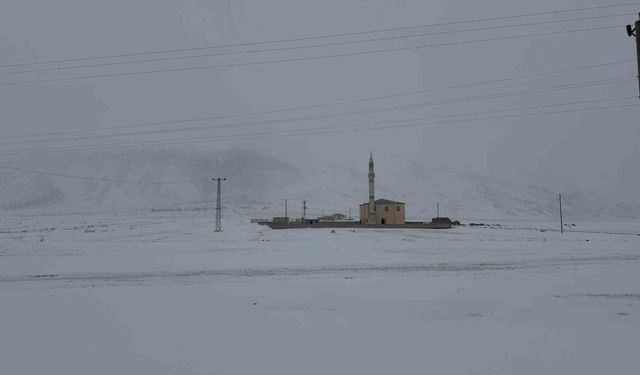 Pamuk Geçidi'nde kar ve sis ulaşımı olumsuz etkiledi
