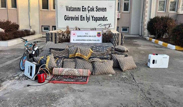 Şanlıurfa'da bağ evinde hırsızlık: 4 gözaltı