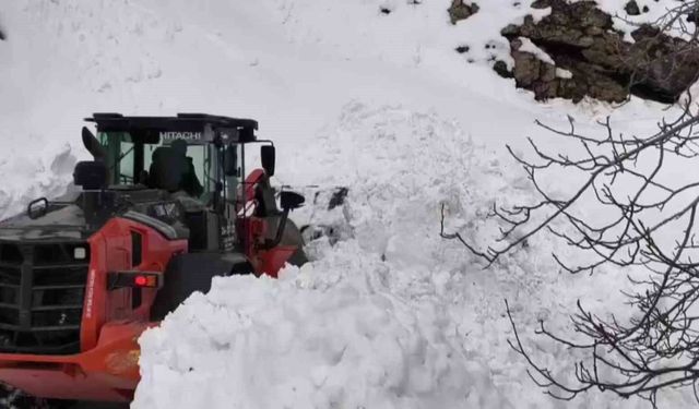 Sason'da kapanan mezra yolları ulaşıma açıldı