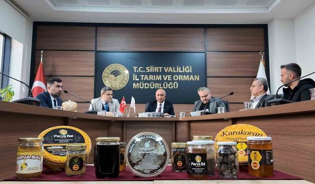 Siirt balında markalaşma ve çeşitlilik toplantısı