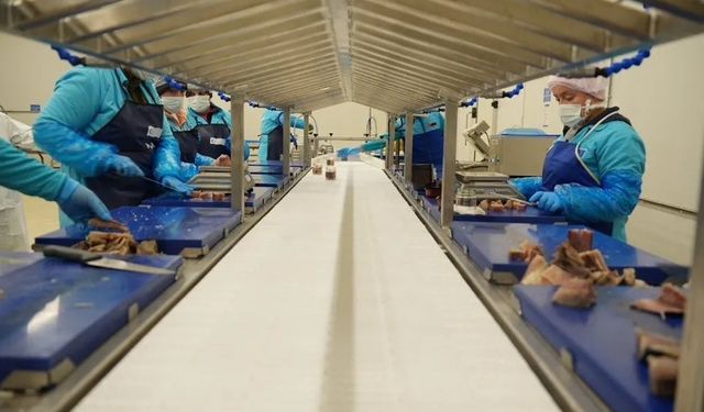 Sinop 2025'te ihracatta vites yükseltti