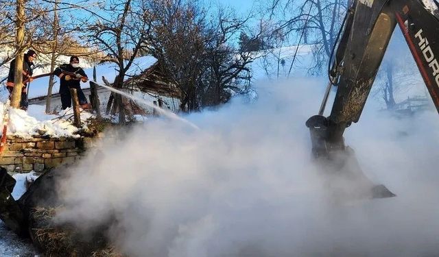 Sinop'ta ahır yangını: 9 büyükbaş hayvan telef oldu