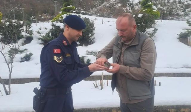 Sinop'ta jandarma ekipleri yaralı kuşa umut oldu