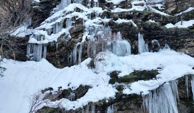 Şırnak'ta etkili olan karla 'Kanlıdere' beyaza büründü