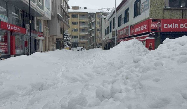 Tatvan'da gök gürültülü kar yağışı