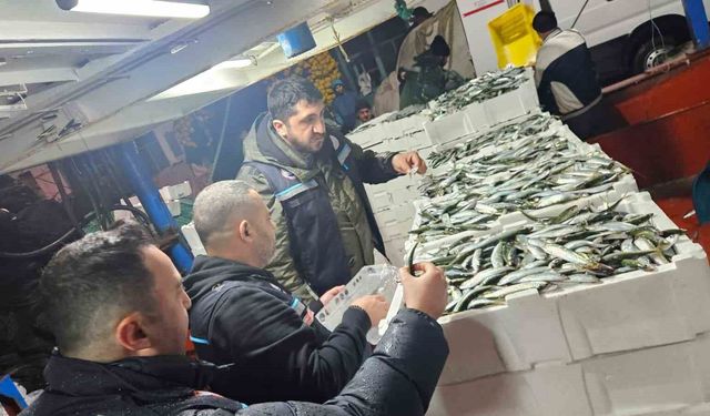 Tekirdağ'da gırgır teknelerinde su ürünleri denetimleri