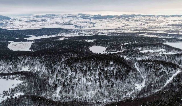 Tokat'taki Kurt Gölü'nün kış manzarası mest etti