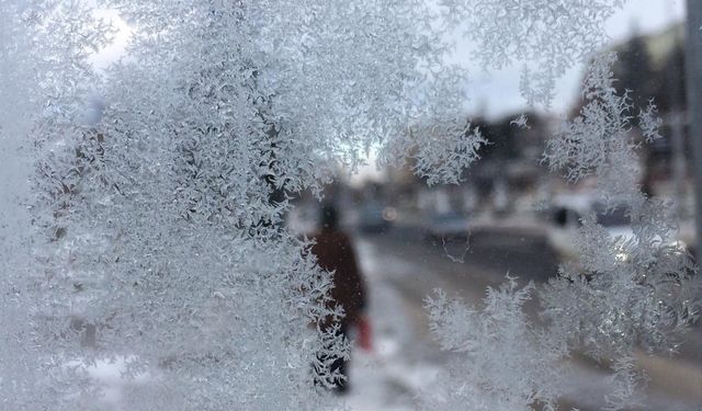 Uşak'ta buzlanma ve dona karşı uyarı