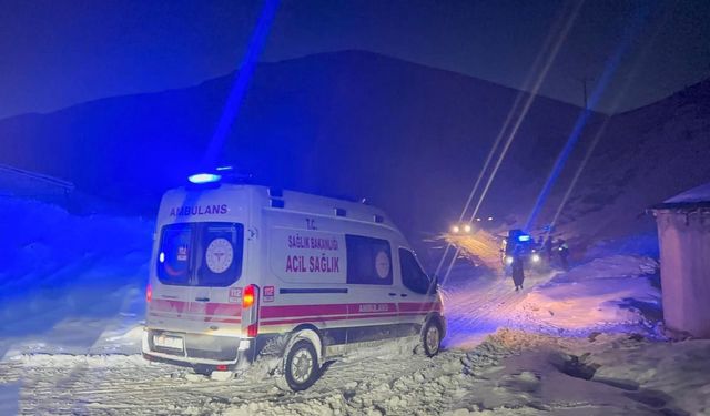 Van'da zorlu hasta kurtarma operasyonu