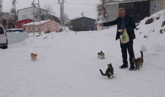 Yaklaşık 2 bin nüfuslu köyde kışın sadece bir aile yaşıyor