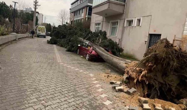 Yalova'da fırtına hayatı olumsuz etkiliyor