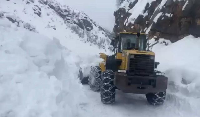 Yayla yolları için seferber oldular