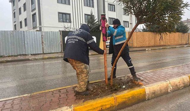 Yeşil alanlarda mevsimlik bakım ve güçlendirme seferberliği