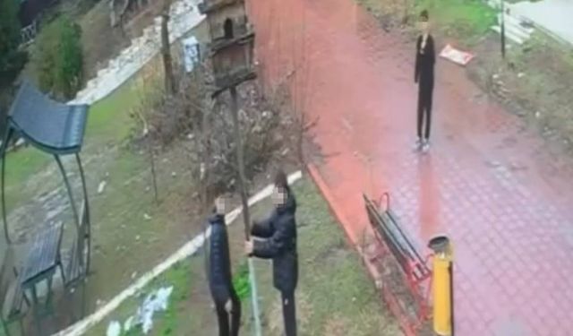 Adana'da parktaki kuş yuvasını parçaladılar