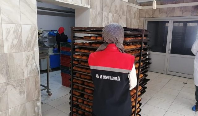 Erzurum'da gıda satışı yapan işletmeler denetlendi